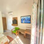 WhatsApp Image 2025-02-12 at 10.52.36_011e7e12